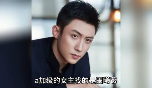 娱乐圈八卦吃瓜爆料焦俊艳,揭秘背后真相与情感纠葛